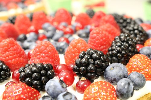 fruits  blackberries  blueberries