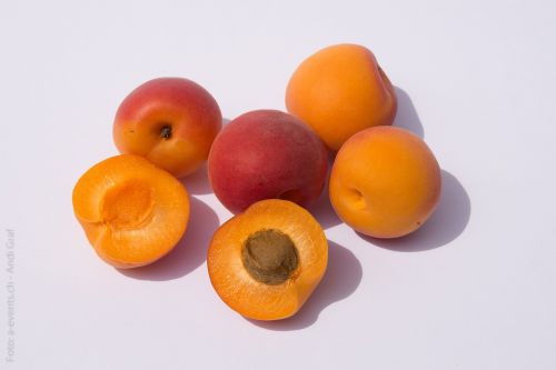 fruits apricots fruit