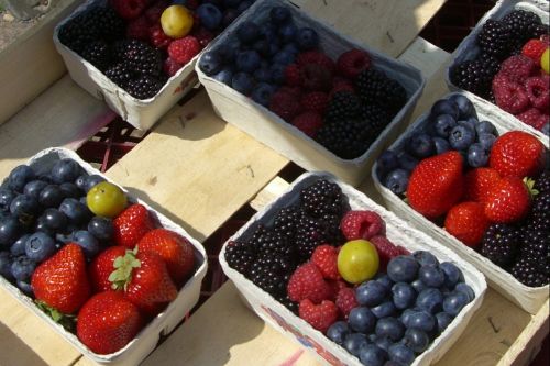 fruits berries soft fruit