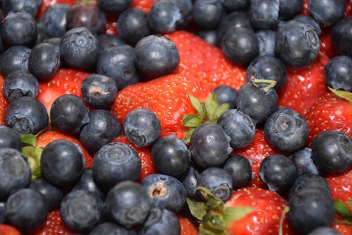 fruits  blueberries  strawberry
