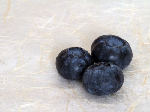 fruits blueberry close