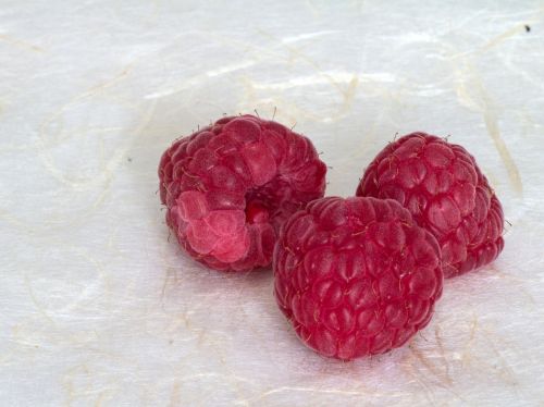 fruits raspberry close