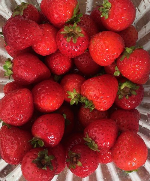 fruits strawberry fresh