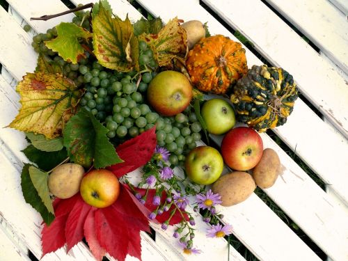 fruits harvest autumn