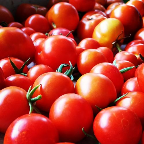 fruits and vegetables tomatoes red