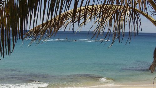 fuerteventura canary islands summer