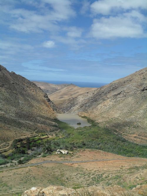 fuerteventura spring landscape