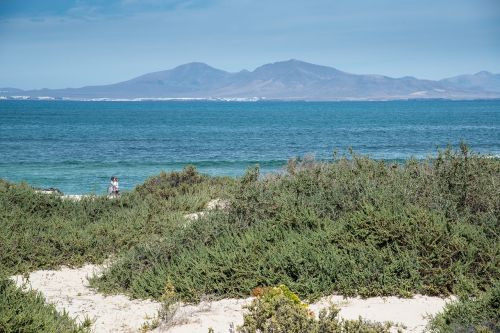 fuerteventura landscape ocean