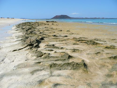 fuerteventura canary beach