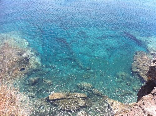 fuerteventura beach water