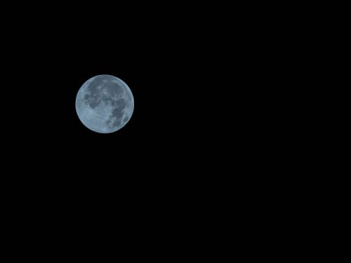 full moon the night sky moon