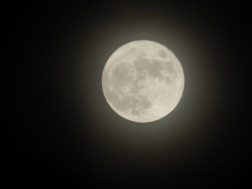 full moon closeup night