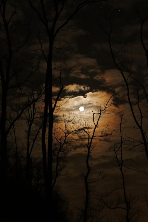full moon dark spooky