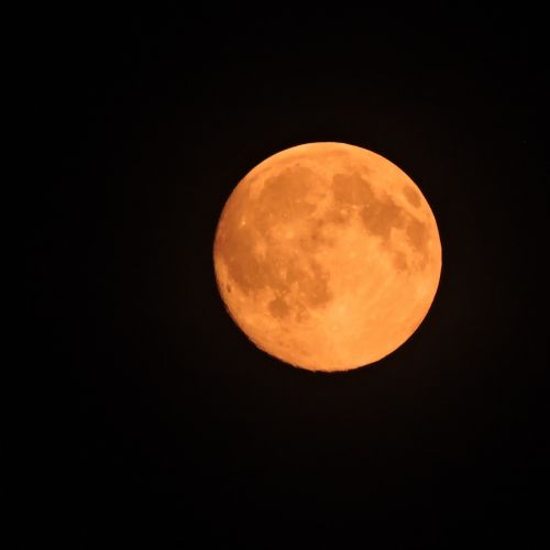 full moon night moon