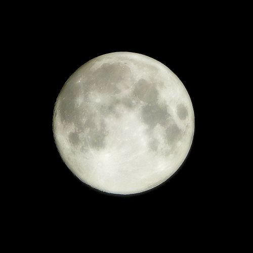 full moon night moon