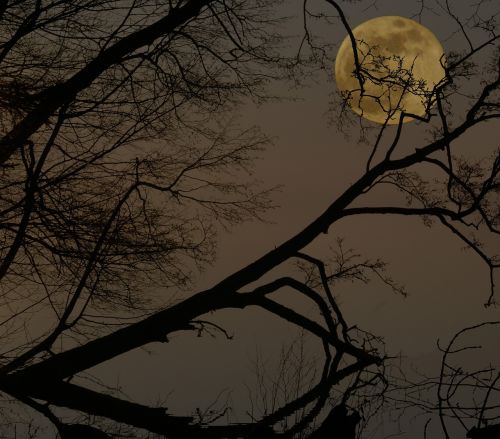 full moon night darkness