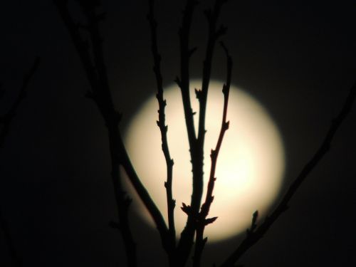 full moon month night