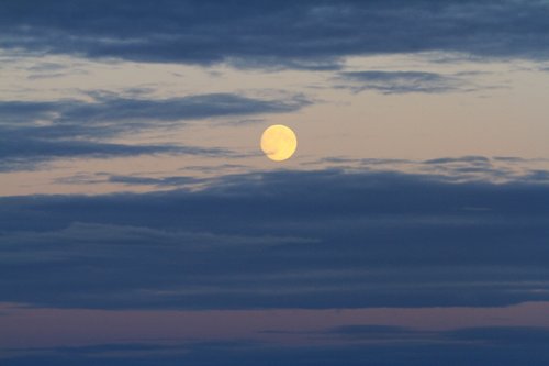 full moon  vancouver island  harvest moon