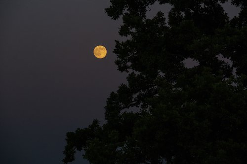 full moon  night  moonlight
