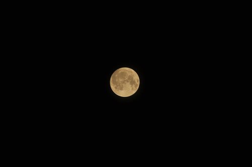 full moon  moon  moonlight