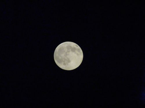 full moon moon shine