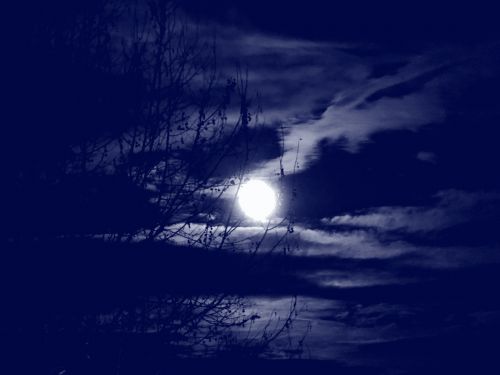full moon clouds branches