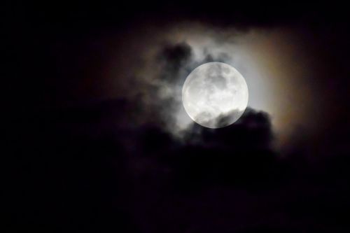 full moon moon moonlight