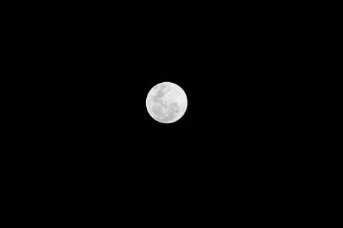 full moon night moonlight