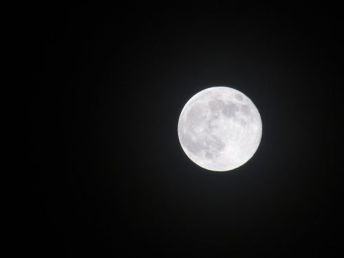 full moon night sky night