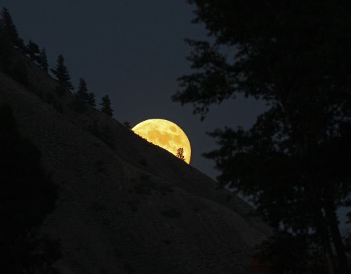 full moon rising night