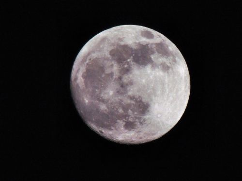 full moon night sky moon