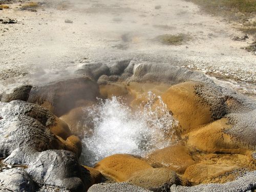 fuming geyser yellowstone national park