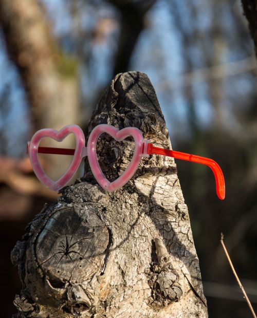 fun tree glasses