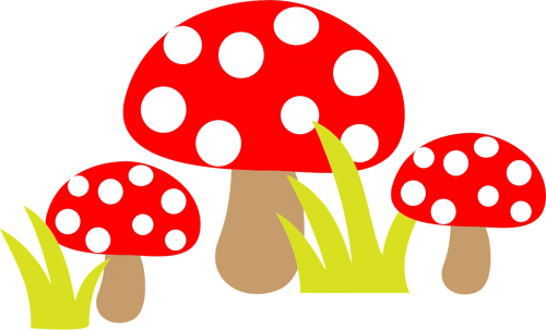 fungus mushrooms poisonous
