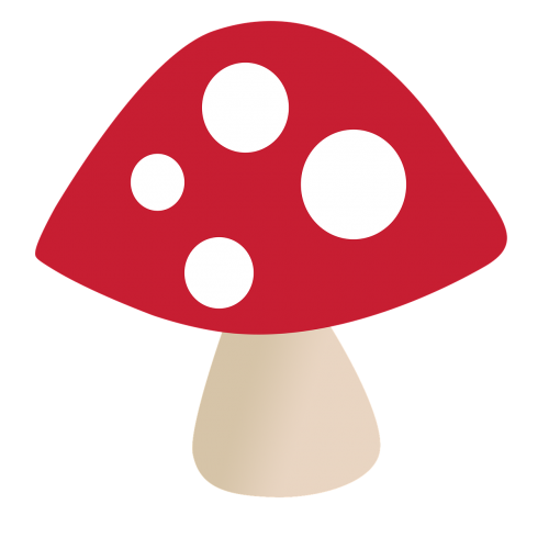 fungus nature mushrooms