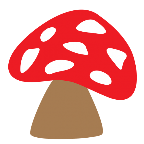 fungus mushrooms tree fungus