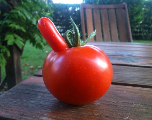 funny tomato red
