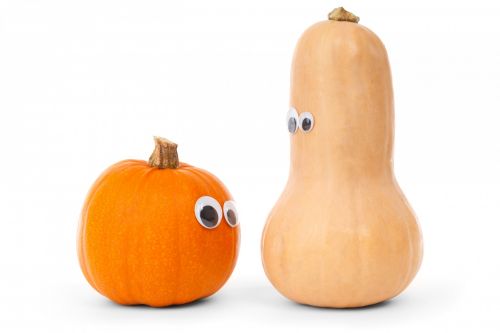 Funny Pumpkin Characters