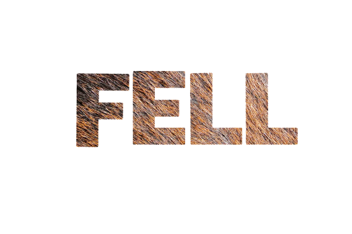 fur texture lettering