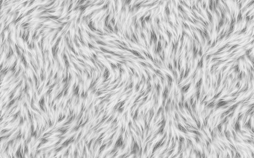 fur white texture