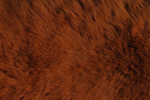 fur leather skin
