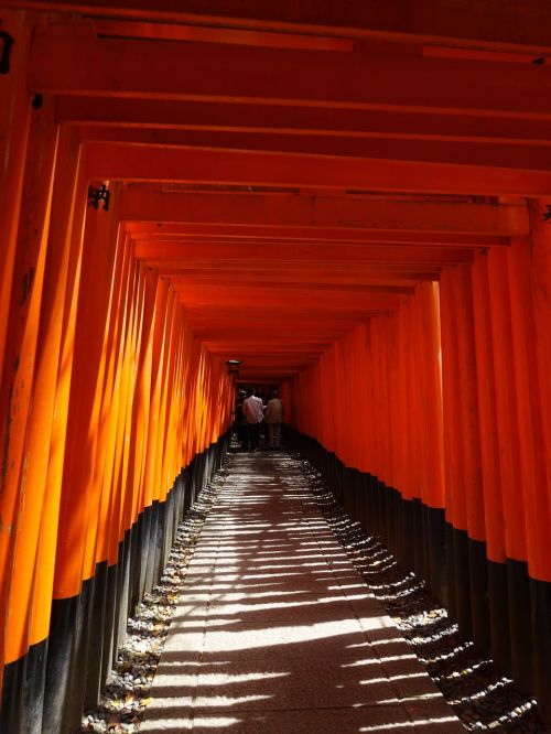 fushimi inari-taisha shrine senbon-torii kyoto