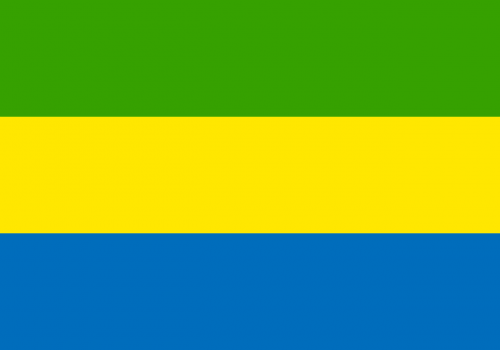 gabon flag national