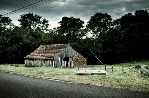 Old Shed