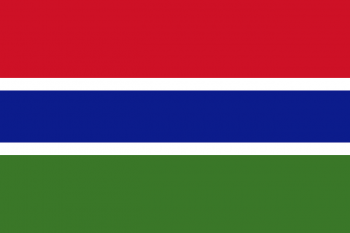 gambia flag national flag