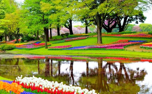 garden flowers lake