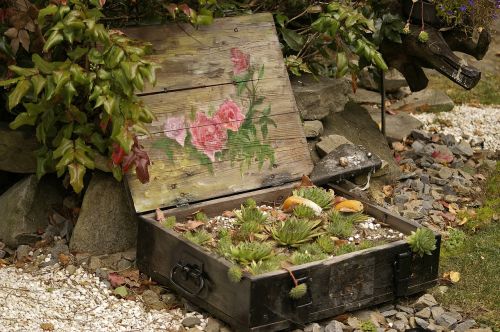 garden plants arrangement