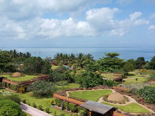 garden palm trees zanzibar