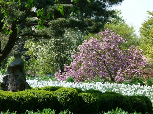 garden spring nature