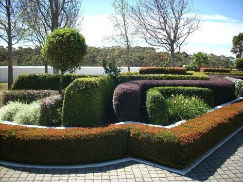 garden hedge topiary